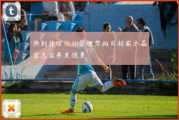 热刺持续优化管理架构目标前水晶宫总监弗里德曼
